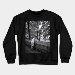 Central Park Fifth Avenue New York City Crewneck Sweatshirt